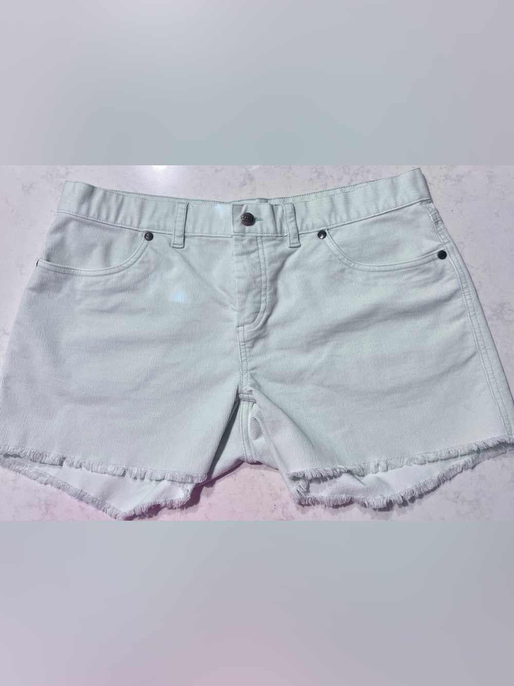 Oahu 4” Shorts - Woman’s Sz 8